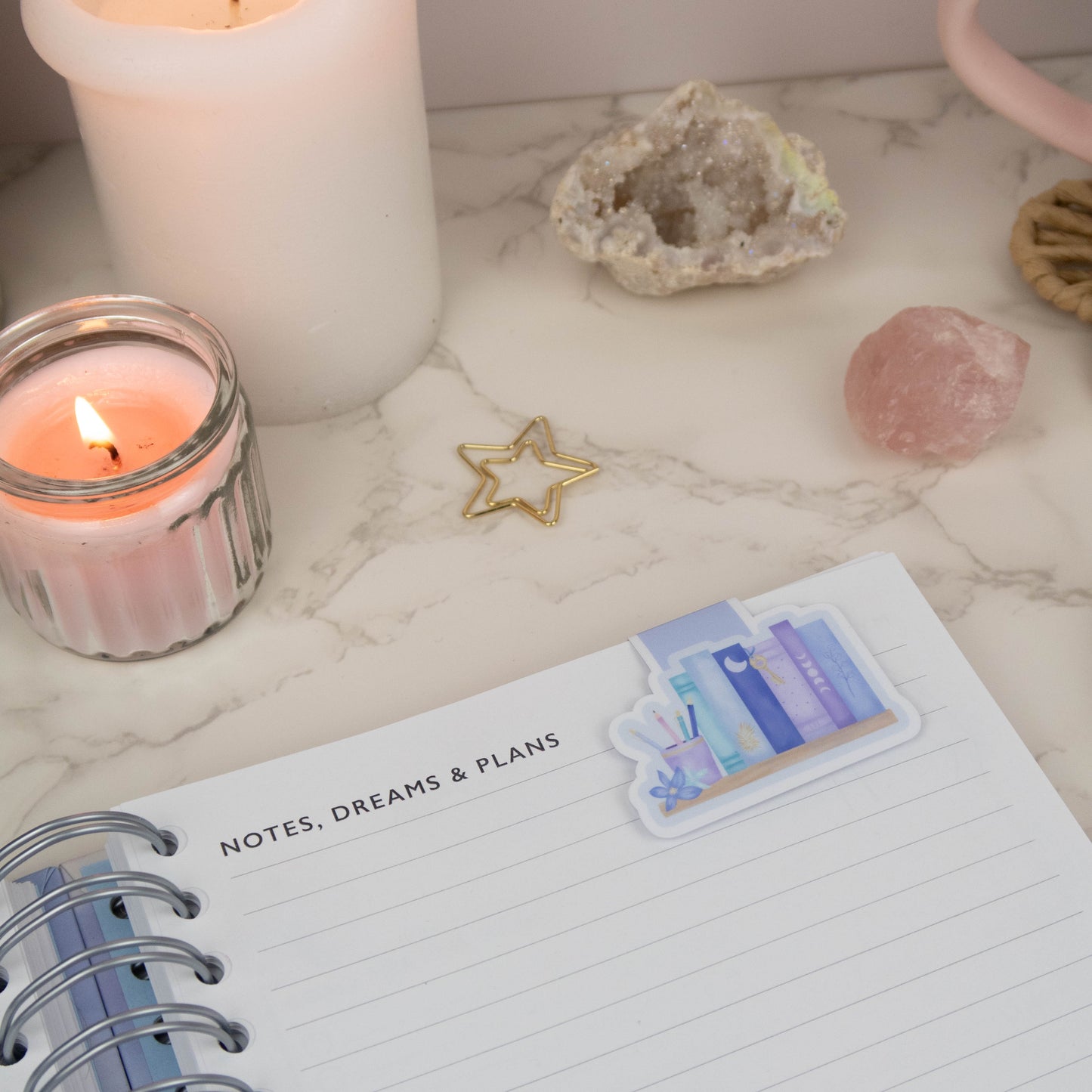 SECRET BOOKSHELF - MAGNETIC BOOKMARK