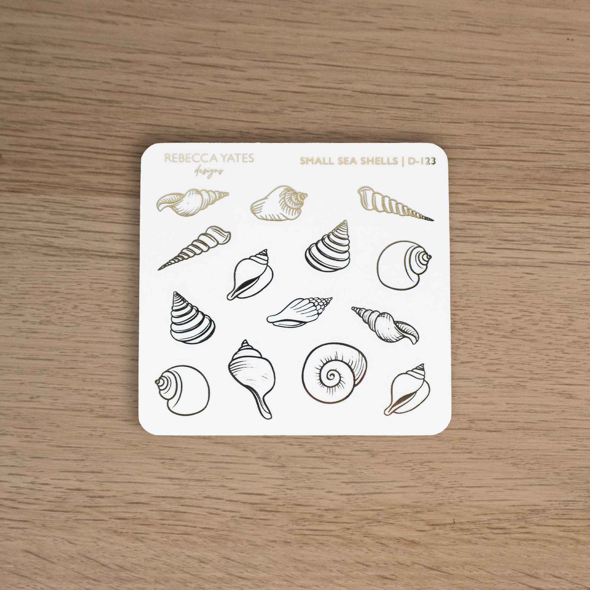 Small Sea Shells - D-123