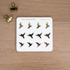Mini Hummingbirds - D-34