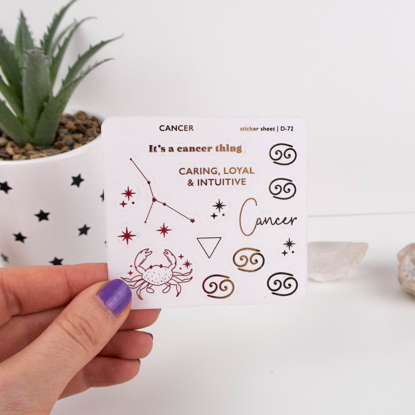 STAR SIGN - FOILED PLANNER STICKERS