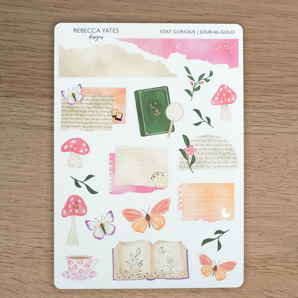 STAY CURIOUS - JOURNAL KIT