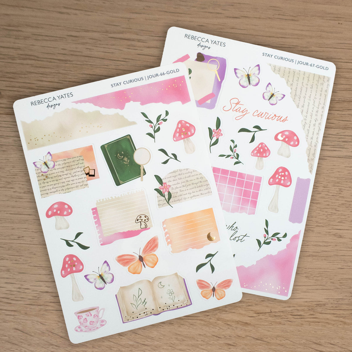 STAY CURIOUS - JOURNAL KIT