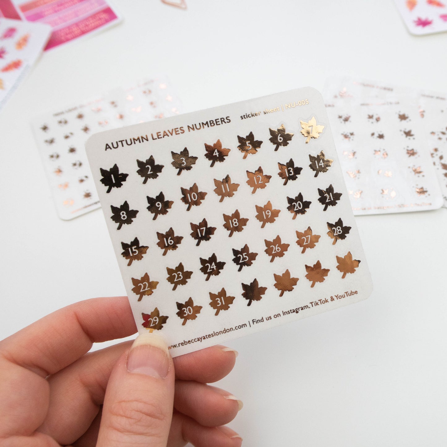 AUTUMN LEAVES NUMBERS - FOILED PLANNER STICKERS